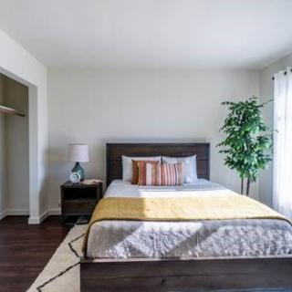 A minimalist bedroom with a neatly made bed, bedside table, lamp, and a potted plant by the window.