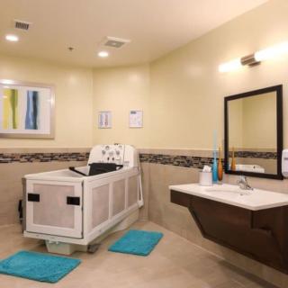 An accessible bathroom with specialized bathtub and sink designed for healthcare facilities.