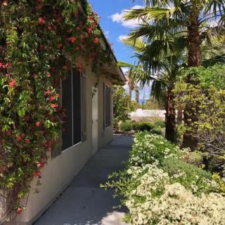 A sunny pathway lined with lush greenery and palm trees beside a house.