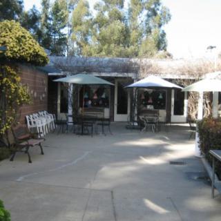 A sunny outdoor patio with tables, chairs, and umbrellas surrounded by greenery.