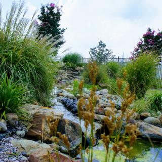 A serene landscape featuring a gentle stream flowing through rocks and lush plants.