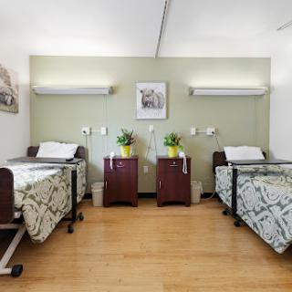 A serene hospital room featuring two neatly arranged beds with decorative bedding and plants.