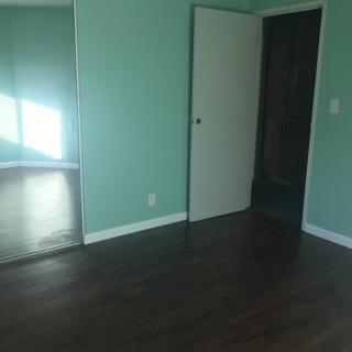 An empty room with green walls and hardwood flooring, featuring natural light streaming through a window.