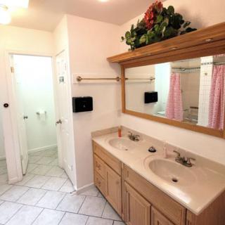 A spacious bathroom with a double vanity, large mirror, and decorative plant arrangement above the mirror.