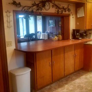 A cozy kitchen with wooden cabinets and a countertop bar area, featuring decorative plants above.