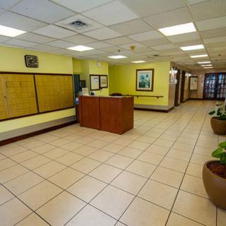 The image shows a tidy and welcoming reception area with a central wooden desk, tiled floors, and potted plants lining the hallway.