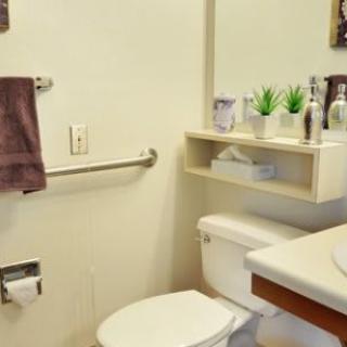 A clean and organized bathroom with a toilet, sink, mirror, and decorative plants on a shelf.