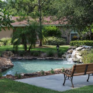 A serene garden scene with a pond and bench, surrounded by lush greenery.