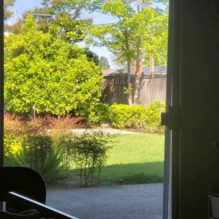 A view of a lush garden through an open door, showcasing trees and greenery on a sunny day.