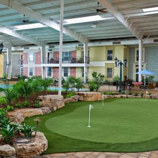 A modern indoor golf putting green surrounded by lush plants and natural light.