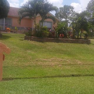A well-maintained house with a lush lawn and vibrant garden.