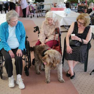 Three women sitting together with a dog during a social gathering.