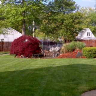 A peaceful backyard garden featuring a well-maintained lawn, colorful bushes, and lush trees.