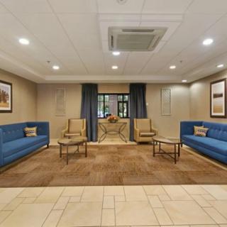 A spacious and well-decorated lobby featuring blue sofas and armchairs.