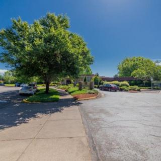 A sunny day in a landscaped parking area with trees and greenery.