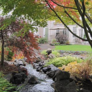 A serene garden landscape with a flowing stream and colorful autumn foliage.