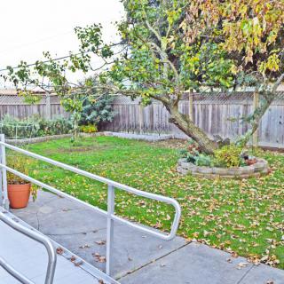 A backyard with a tree surrounded by fallen leaves, a ramp leading to a concrete sidewalk, and a wooden fence.