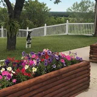 A beautiful garden scene featuring a wooden planter filled with colorful flowers, set against a backdrop of a white fence and lush greenery.