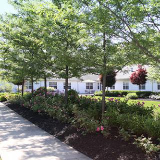 A serene pathway lined with trees and lush landscaping in a residential area.