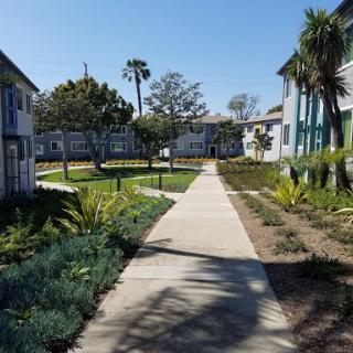 A serene view of a pathway lined with greenery and buildings under a clear blue sky.
