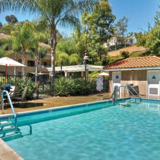 A serene swimming pool surrounded by lush palm trees and landscaping on a sunny day.
