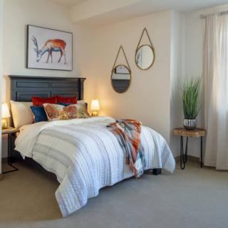 A cozy bedroom with a striped bedspread, decorative pillows, wall art of a deer, and hanging mirrors, complemented by soft lighting and a potted plant.
