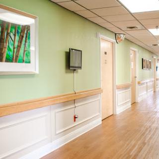 A serene hospital corridor featuring green walls and natural artwork.