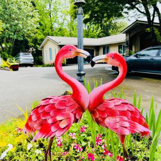 Jhoanna's Adult Care Home,  LLC