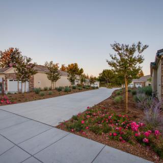 A serene suburban street lined with well-maintained gardens and newly constructed houses during the evening.