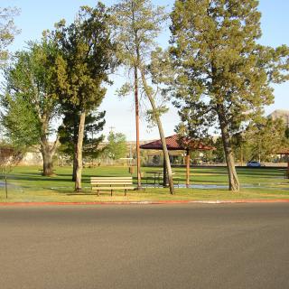 A serene park with a bench under trees and a pavilion in the background.