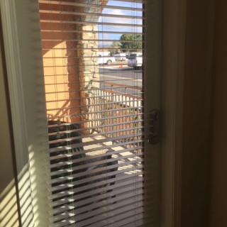 Sunlight streaming through window blinds onto a patio.