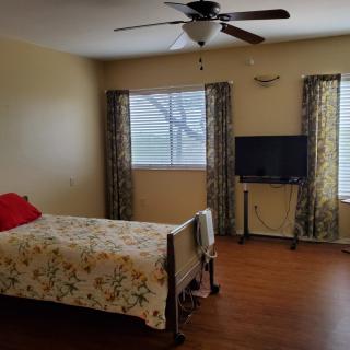 A cozy bedroom with a single bed, ceiling fan, and wooden flooring, featuring windows adorned with curtains and a television on a stand.