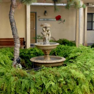 A serene garden setting featuring a decorative fountain surrounded by lush greenery.