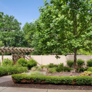 A serene garden scene featuring lush greenery, a large tree, and a pathway under clear blue skies.