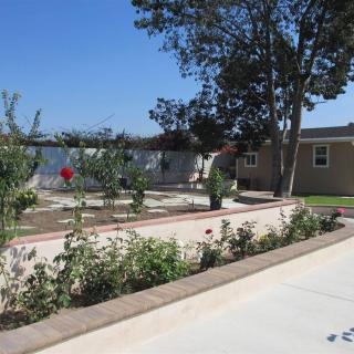 A landscaped garden with a pathway, surrounded by trees and plants next to a house.
