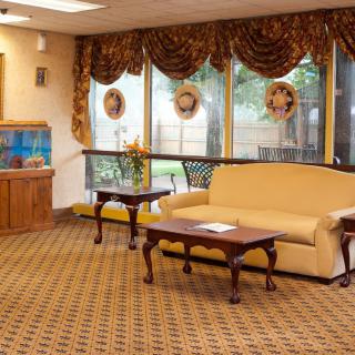 A cozy waiting room with a couch, coffee tables, and decorative elements including a fish tank and curtains.