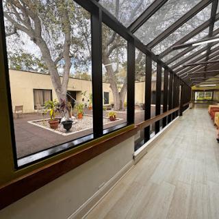 A bright and spacious corridor featuring large glass panels that allow natural light to fill the space, adorned with plants and a seating area.
