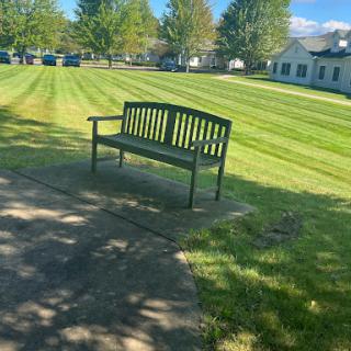 A solitary bench set against a lush green lawn, inviting moments of reflection in the serene park.