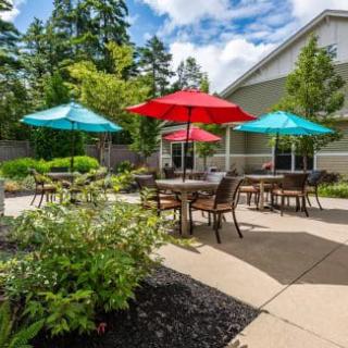 A sunny outdoor patio area with colorful umbrellas and comfortable seating.