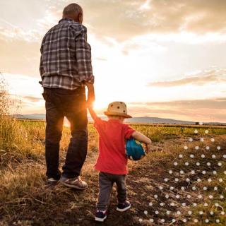 A father and son walk hand in hand through a field at sunset.