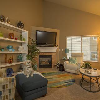 Cozy living room with a fireplace and modern decor.