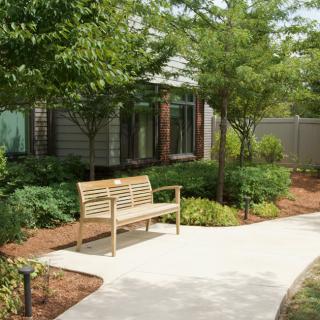 A peaceful garden setting with a wooden bench and a paved pathway surrounded by greenery.