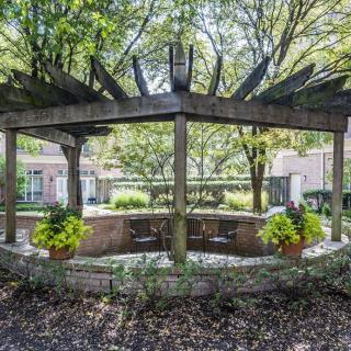 A tranquil garden scene with a wooden pergola and surrounding greenery.