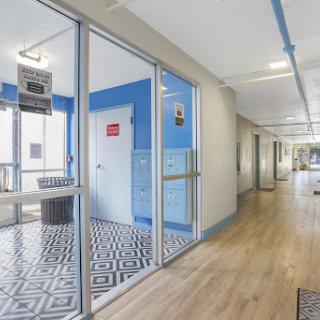 A modern office hallway featuring blue walls, wooden flooring, and geometric patterned tiles.