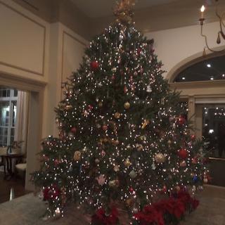 A beautifully decorated Christmas tree illuminated with twinkling lights and colorful ornaments, creating a festive atmosphere.