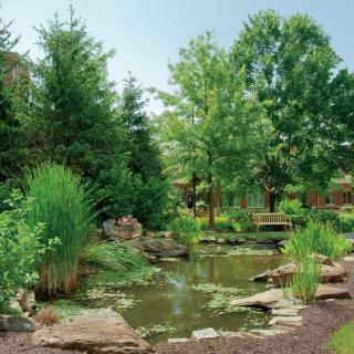 A serene garden scene featuring a pond surrounded by lush greenery and trees.