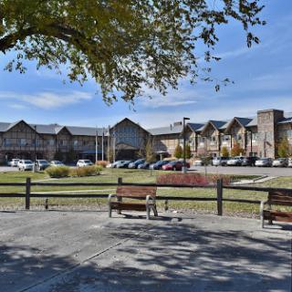 A serene park scene featuring benches in the foreground and a modern building in the background under a clear blue sky.
