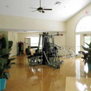 A spacious gym with exercise equipment and indoor plants on a wooden floor.