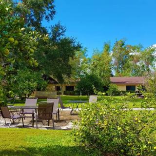 A serene backyard with patio furniture surrounded by lush greenery on a sunny day.
