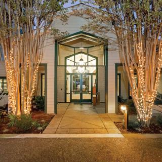 Illuminated entrance with trees adorned in lights.